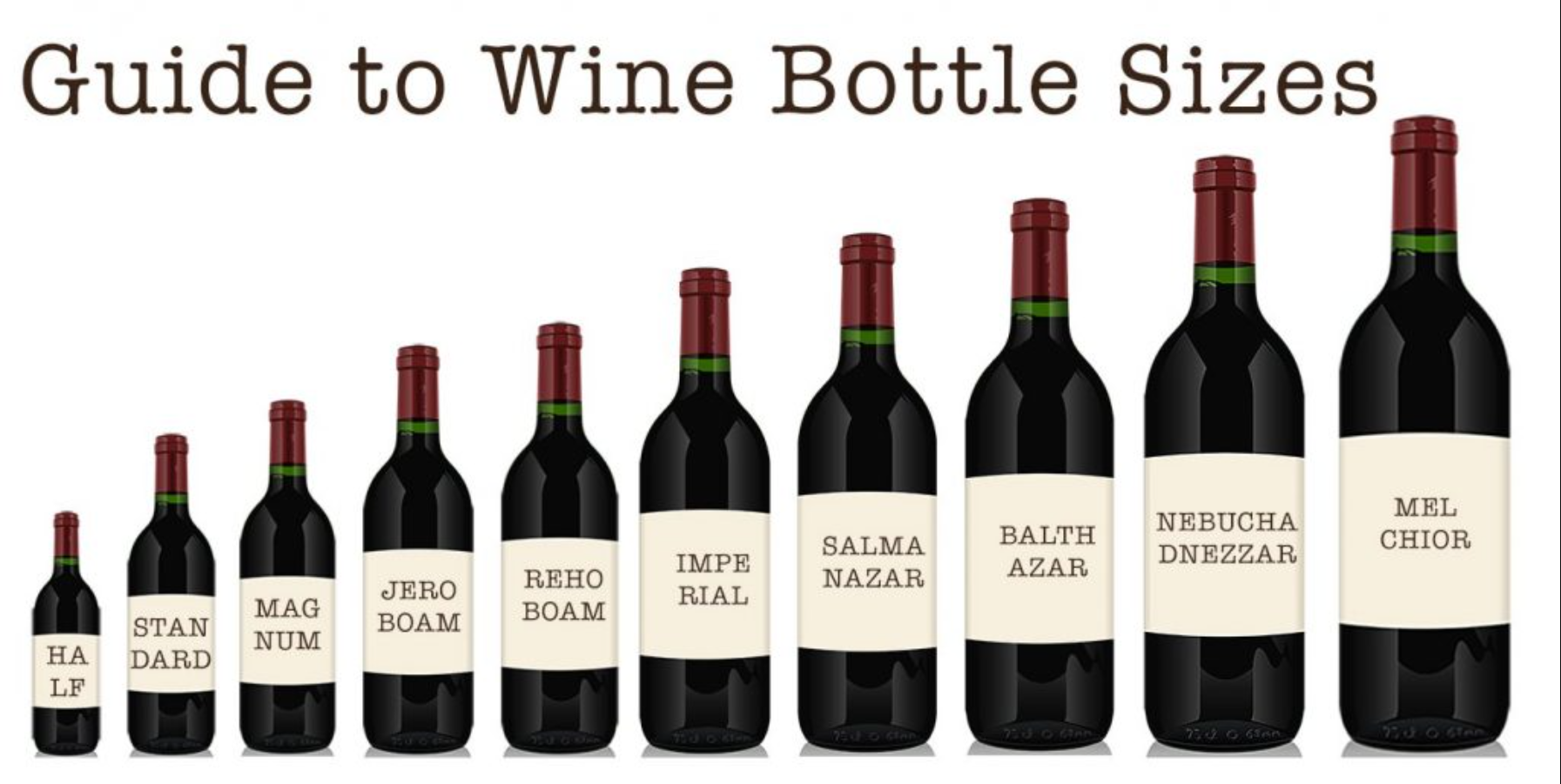 guide to wine bottle sizes