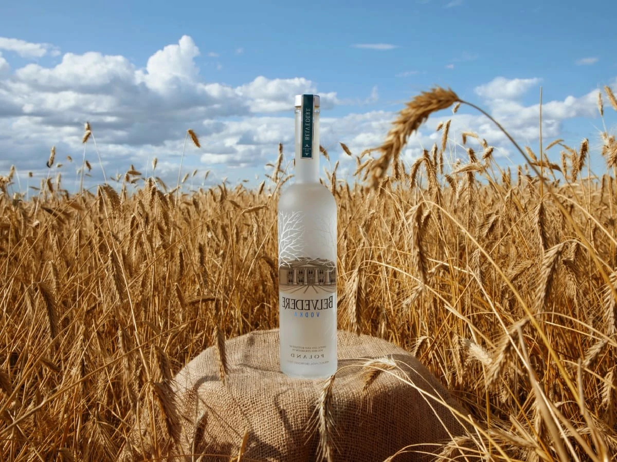 Whether you're celebrating a milestone, attending a festive gathering, or simply looking to show appreciation, a beautifully selected vodka bottle can leave a lasting impression.