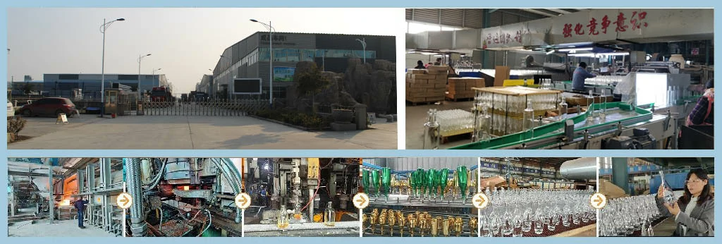 Glass liquor bottle manufacturer production line at HIKING factory